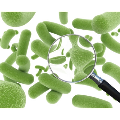 disinfectinggreenbacteria