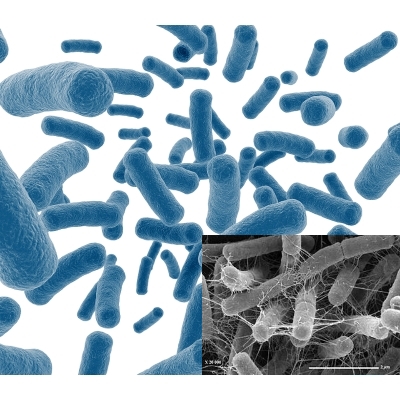 disinfectingmicrobialpathogens