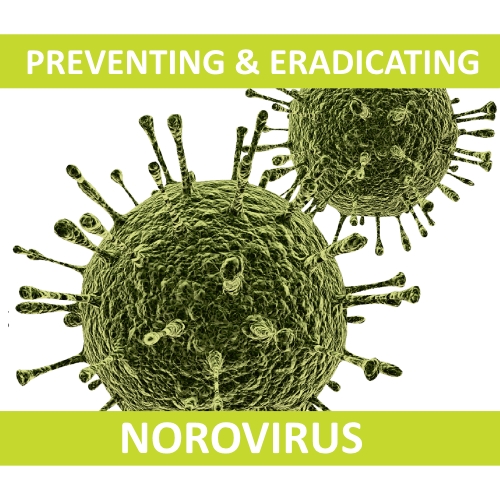 sanitizingagainstnorovirus